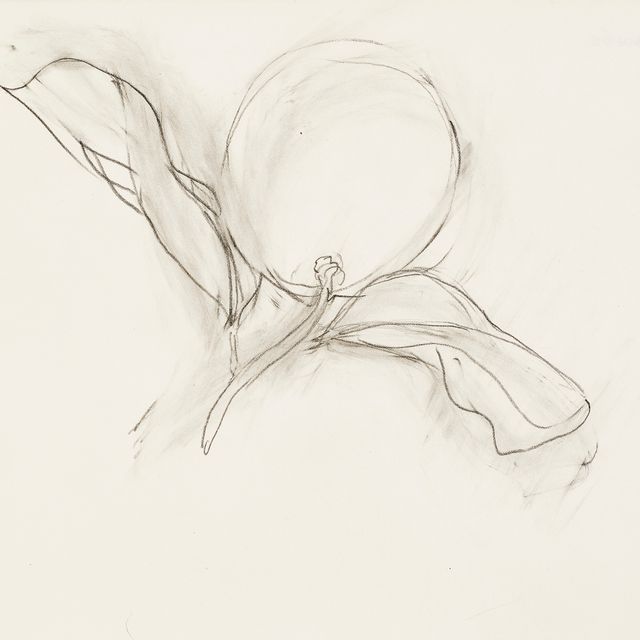 Henri Matisse — Цитрусовый этюд