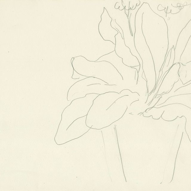 Henri Matisse — Горшок с цветами