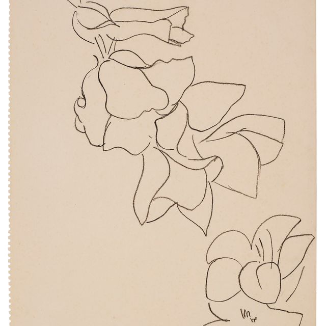Henri Matisse — Цветы и фельетоны