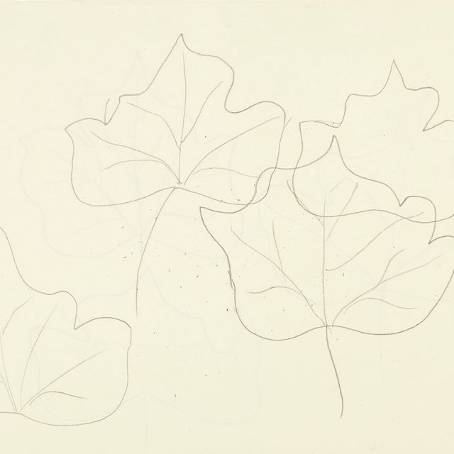 Henri Matisse — Этюды с фельетонами (лицевая и оборотная сторона )