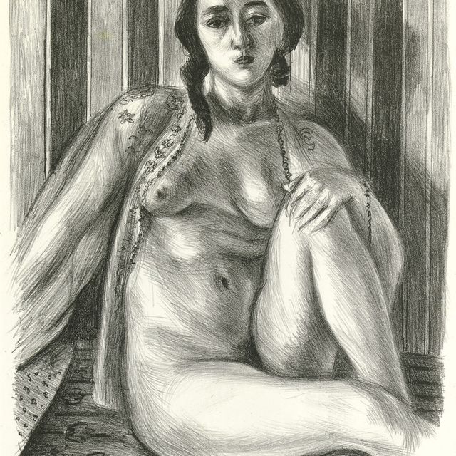 Henri Matisse — Платье в обтяжку из тюля (Р. 465)