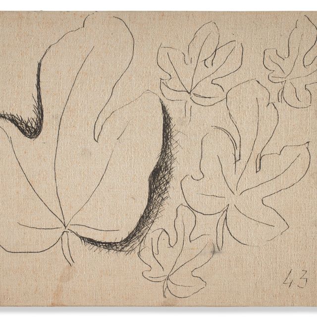 Henri Matisse — Этюды из фельетонов