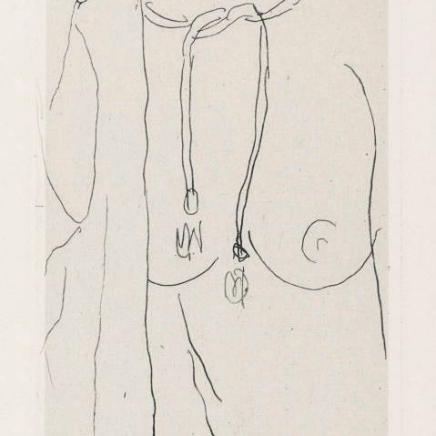 Henri Matisse — Новое платье в пеньюаре (D. 205)