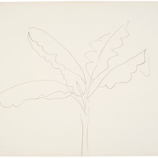 Henri Matisse — Бананьер (Таити)