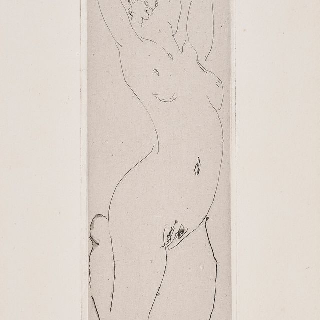 Henri Matisse — Ну аженой и камбре