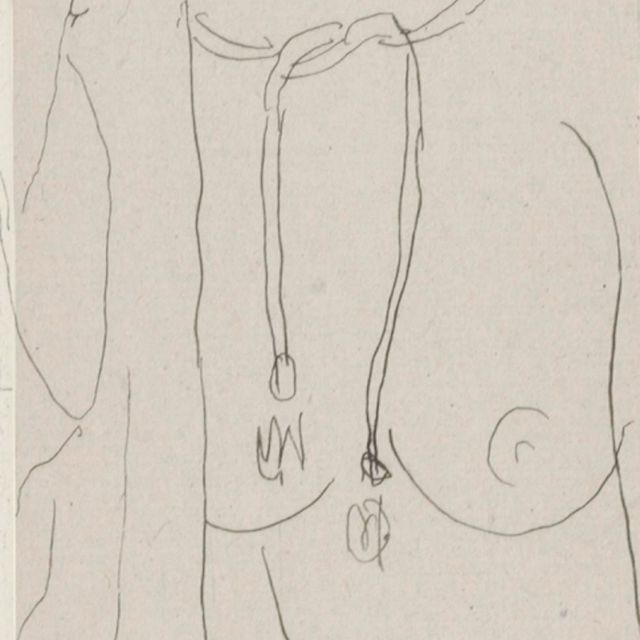 Henri Matisse — Новый дебют в пеньюаре