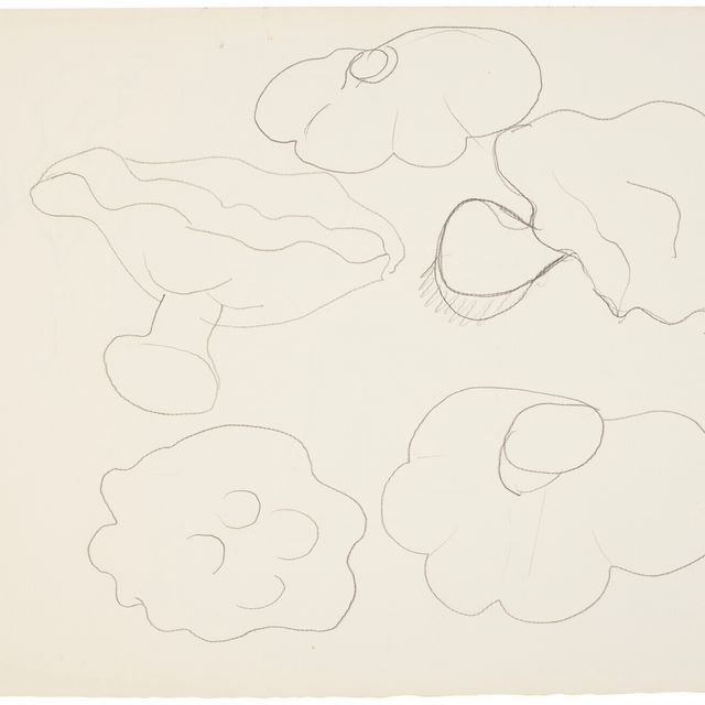 Henri Matisse — Этюд с шампиньонами (прямая и оборотная стороны)