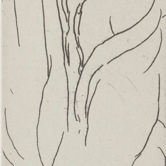 Henri Matisse — Фигура в пеньюаре