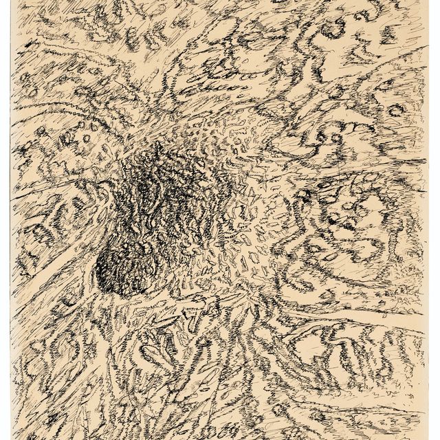 Henri Michaux — Десерт из мескалина