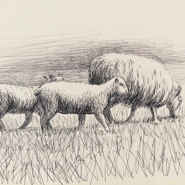 Henry Moore — Овца и два ягненка