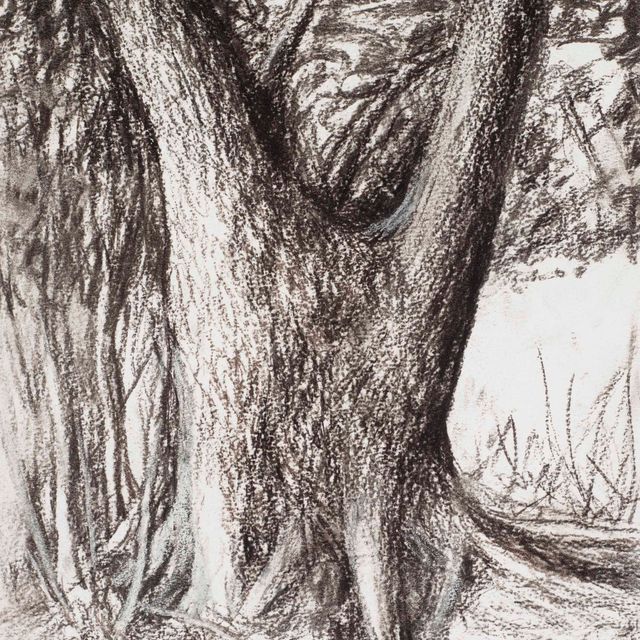 Henry Moore — ствол дерева