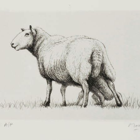 Henry Moore — Овцы с ягненком II ; Овцы в поле (Cramer 197 et 226)