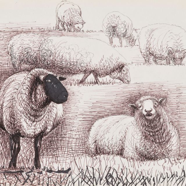 Henry Moore — Овечье поле
