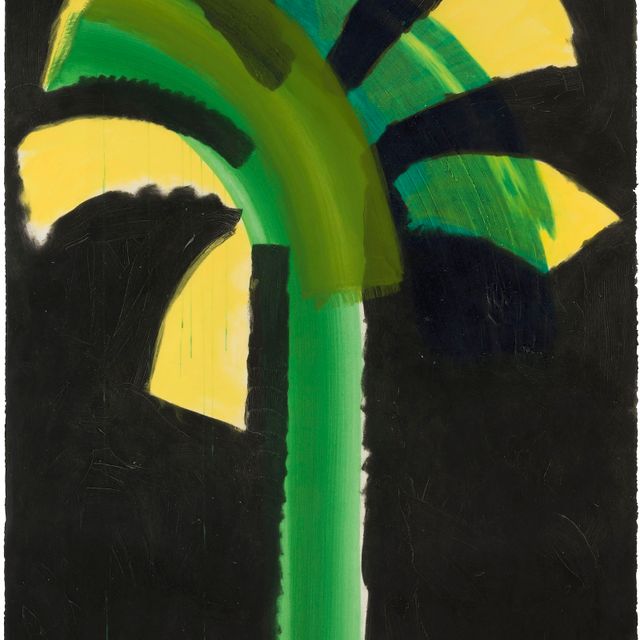 Howard Hodgkin — Ночная пальма