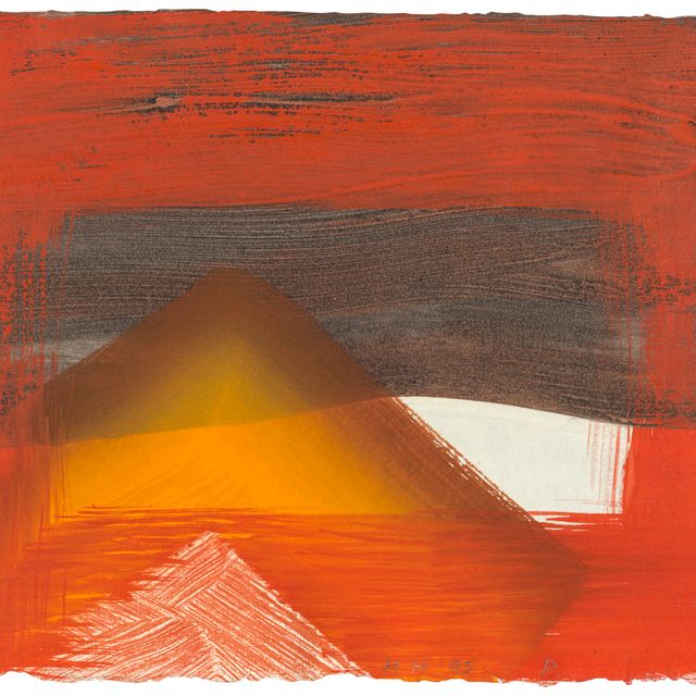 Howard Hodgkin — Снег