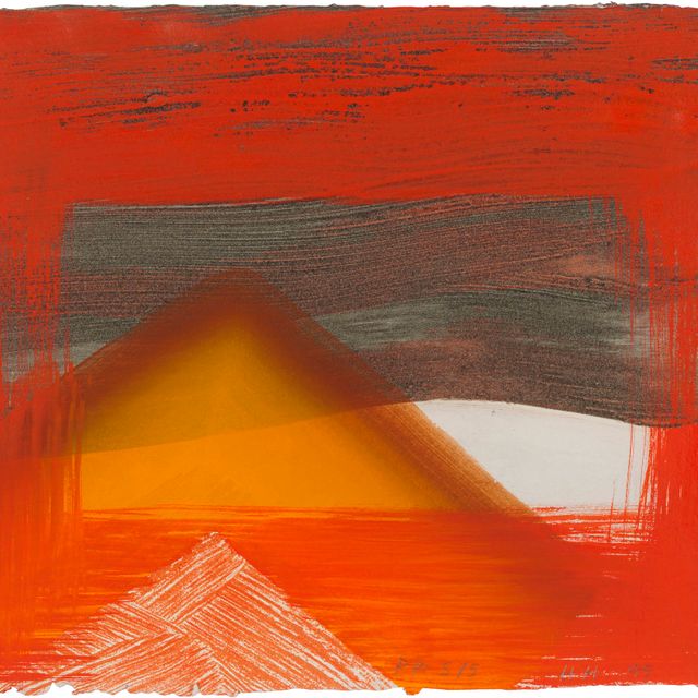 Howard Hodgkin — Снег