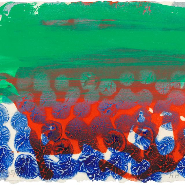 Howard Hodgkin — В общественном саду