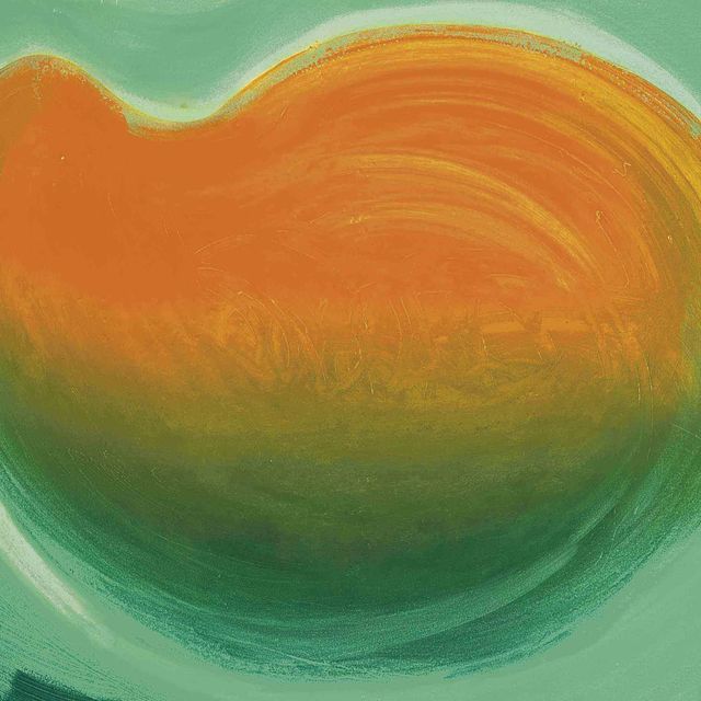 Howard Hodgkin — Манго (83 фунта стерлингов)