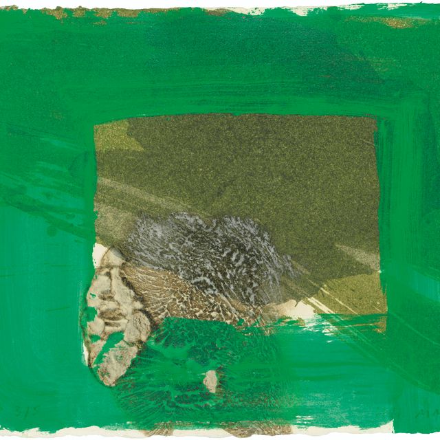 Howard Hodgkin — Дождь