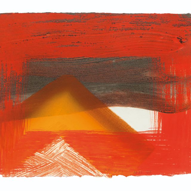 Howard Hodgkin — Снег
