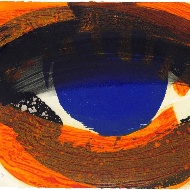 Howard Hodgkin — Глаз
