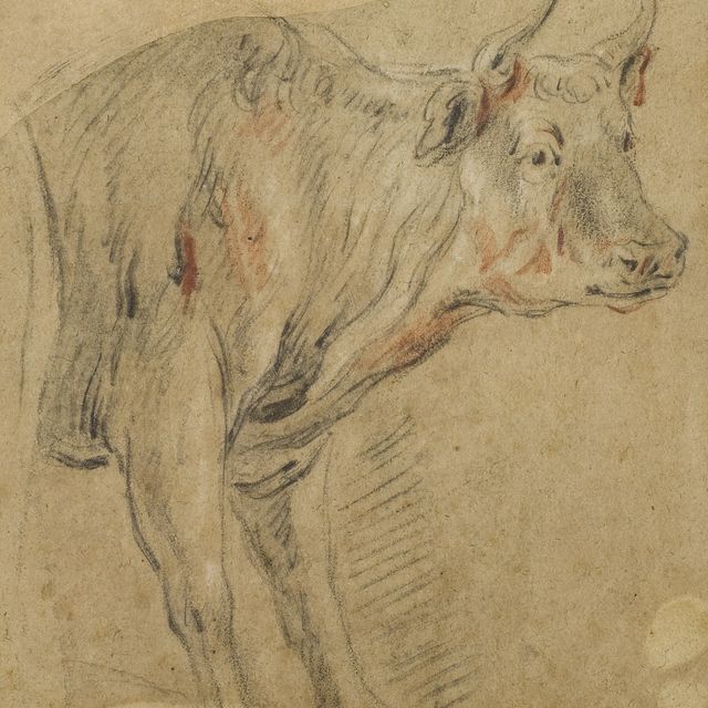 Jacob Jordaens — Ун торо