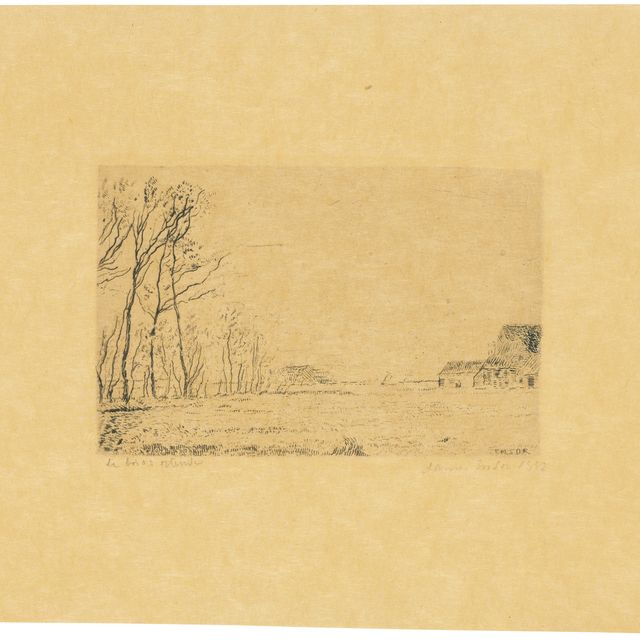James Ensor — Лизьер-дю-пти-Буа, Остенде (Опушка небольшого леса, Остенде)
