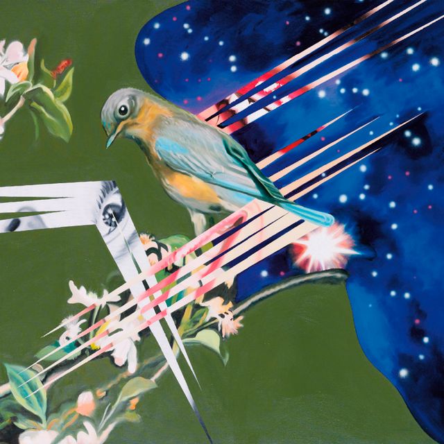 James Rosenquist — Водоросли и звезды