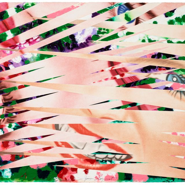 James Rosenquist — Перекрестная заштриховка и мутации