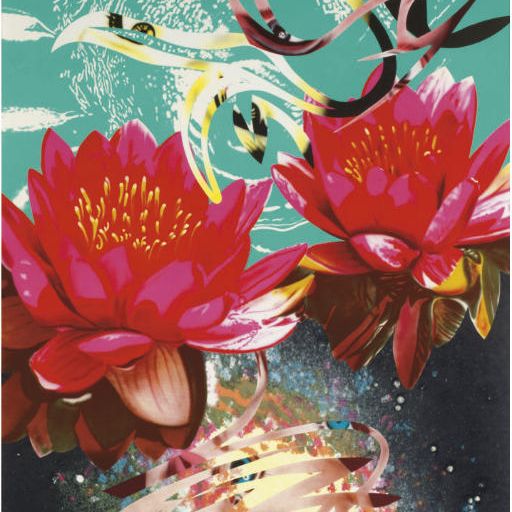 James Rosenquist — Небесная дыра, из "Добро пожаловать на водную планету" (гл. 217)