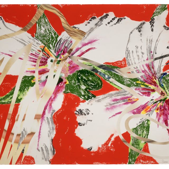 James Rosenquist — Сестра визжит, из: Секреты в гвоздиках