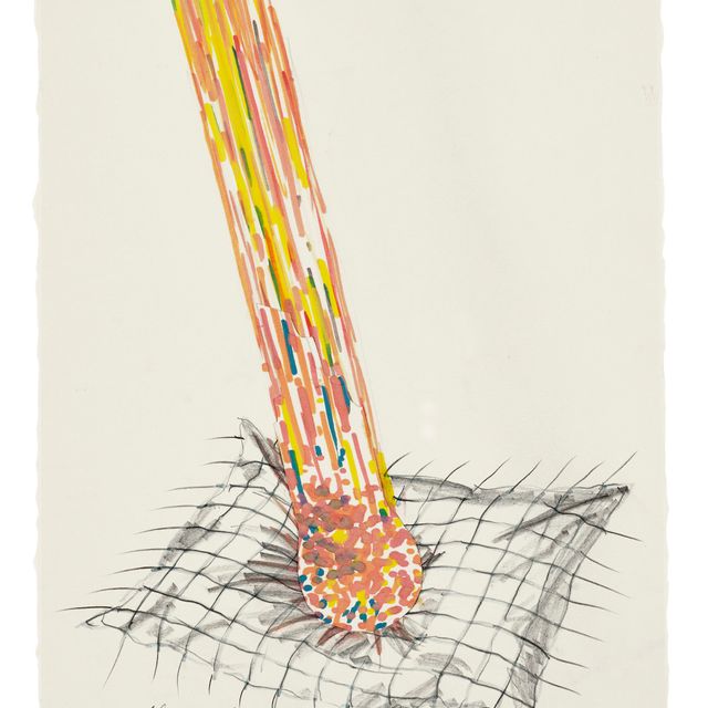 James Rosenquist — Метеорит попал в подушку пловца после исследования Эйнштейном силы тяжести