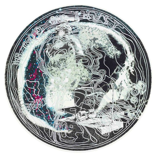 James Rosenquist — Снимок черепа из фильма "Добро пожаловать на водную планету" (гл. 220)