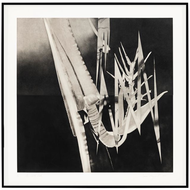 James Rosenquist — Колючая Тьма