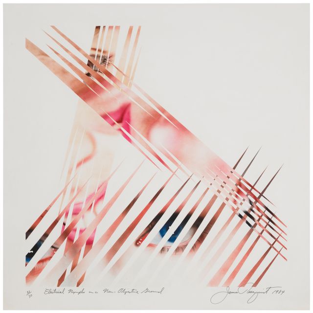 James Rosenquist — Электрические нимфы на беспредметной почве