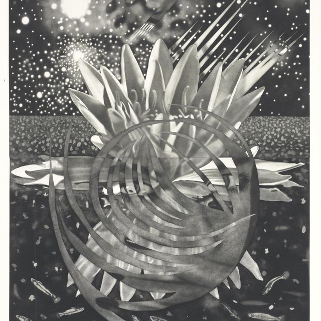 James Rosenquist — Добро пожаловать на планету воды (гл. 211)