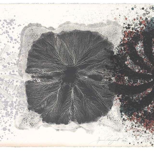James Rosenquist — Черный галстук