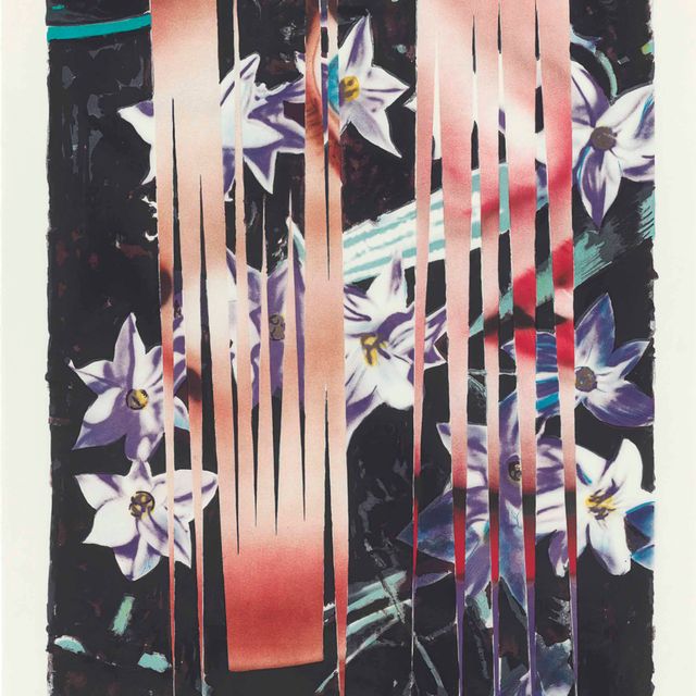 James Rosenquist — Ночные переходы