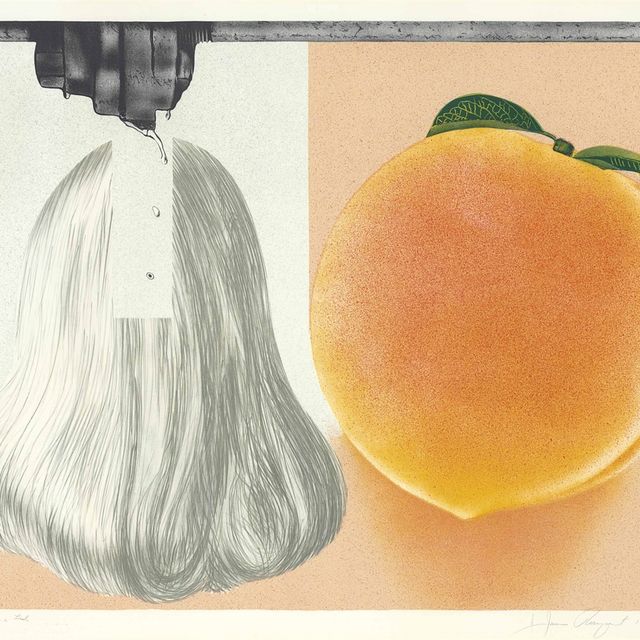 James Rosenquist — При Утечке...