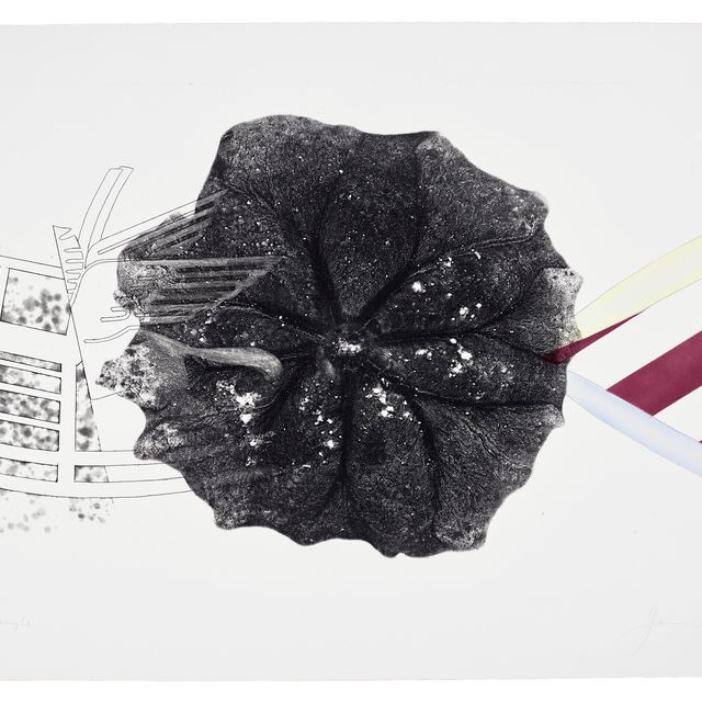 James Rosenquist — Черный треугольник