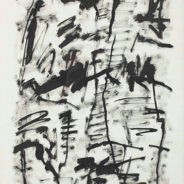 Jan Schoonhoven — Т85-65