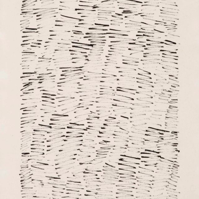 Jan Schoonhoven — Т80-16