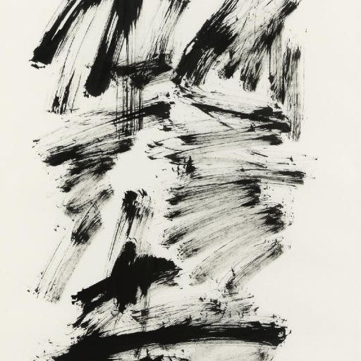 Jan Schoonhoven — Т81-14
