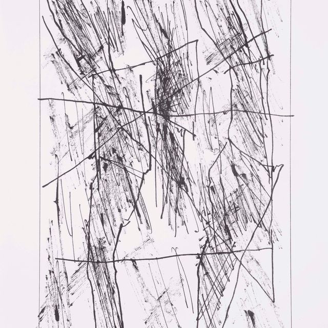Jan Schoonhoven — Формирование