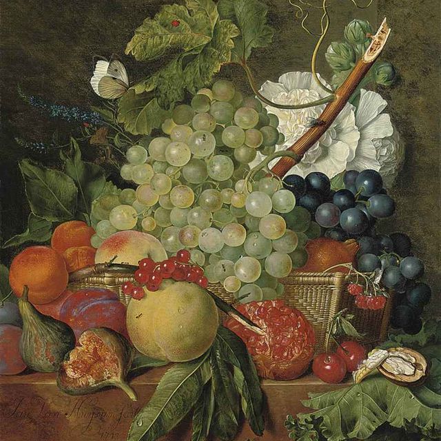 Jan van Huysum — Инжир, персики, яблоко, гранат, вишня и грецкий орех на подставке с виноградом, апельсин и пионы в корзине, с бабочкой, мухой и шмелем
