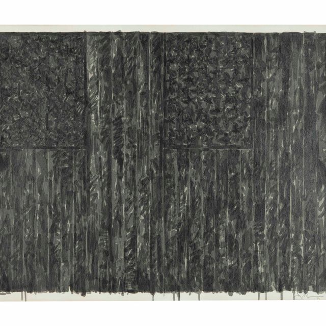 Jasper Johns — Флаги II