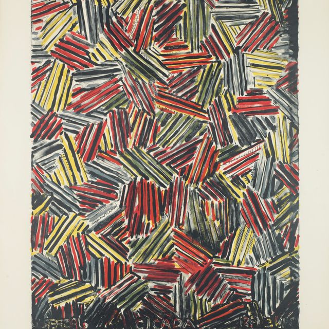 Jasper Johns — Цикада