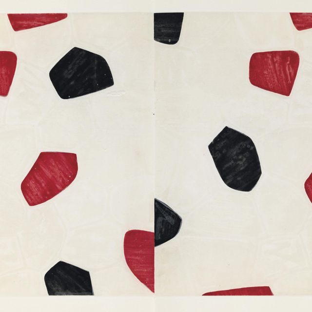 Jasper Johns — Сэмюэл Беккет, "Физ-лы", издательство "Питерсберг Пресс", Нью-Йорк, 1976 (ULAE 173)