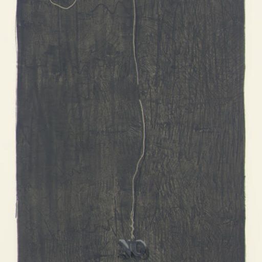 Jasper Johns — Нет (Универсальные художественные издания с ограниченным тиражом 71)