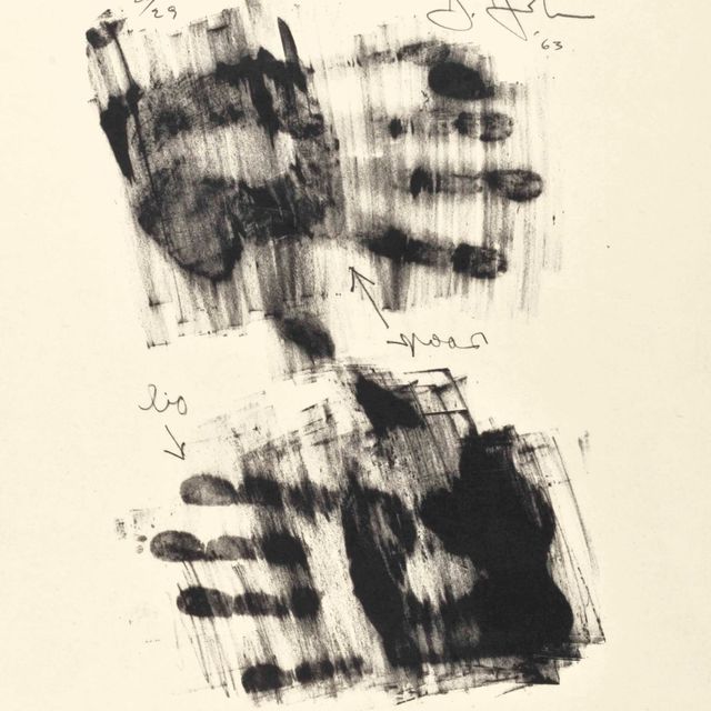 Jasper Johns — Рука